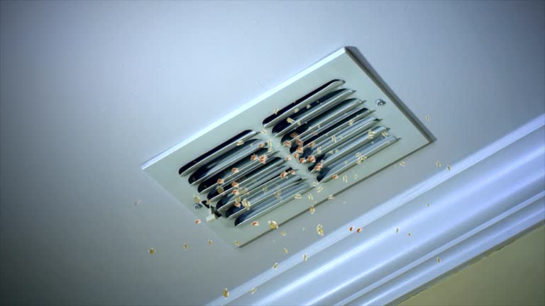 Best Best Air Duct Cleaning Company  in Elkhorn City, KY